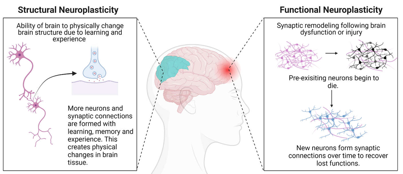 neuro