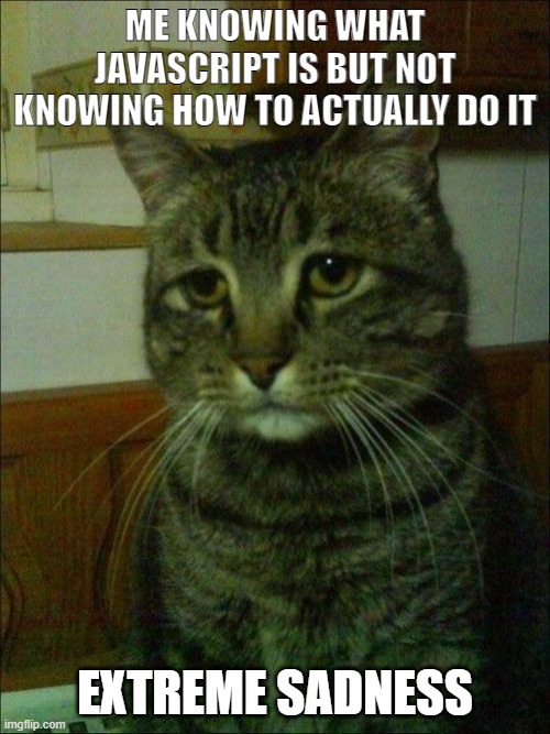 sad-cat-meme